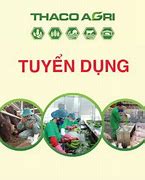 Công Ty Thabilabco Tuyển Dụng Hà Nội Mới Nhất Hiện Nay