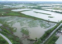 Khu Sinh Thái Đồng Mai Hà Đông