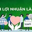 Những Tổ Chức Phi Lợi Nhuận Ở Việt Nam