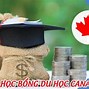 Tỷ Lệ Đậu Visa Du Học Canada 2023 Online Visa Application Form